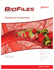 Cholesterol Homeostasis - Sigma
