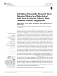 Infectious Pancreatic Necrosis Virus Causing Clinical and