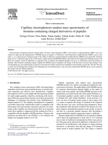 Capillary electrophoresis tandem mass spectrometry of bromine