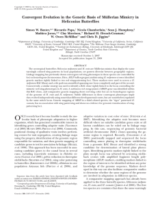 Convergent Evolution in the Genetic Basis of Müllerian Mimicry in