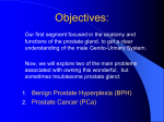Objectives - Us TOO International