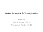 Water_Potential__Transpiration