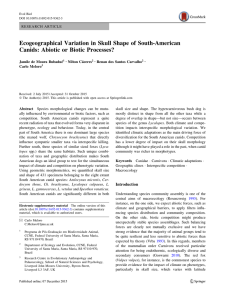 Ecogeographical Variation in Skull Shape of South