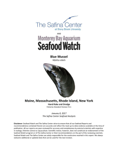 Blue Mussel Seafood Watch Report
