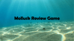 Mollusk Review Game - GMCbiology
