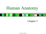 Human Anatomy - Sport Books Publisher