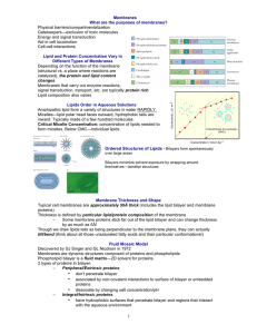 Chem331 Lect 14 Membranes