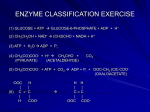 Enzyme_Classificn