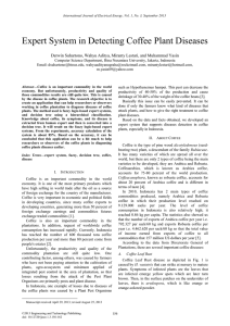 Expert System in Detecting Coffee Plant Diseases