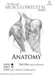 Medial pterygoid