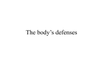 Lecture 7: The body`s defenses