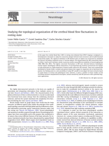 Studying the topological organization of the cerebral blood flow