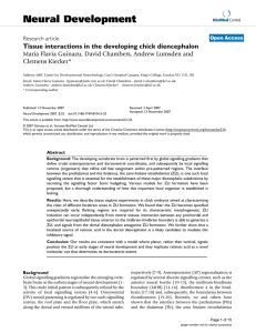 Tissue interactions in the developing chick diencephalon