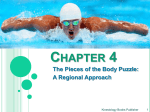 Chapter 4 The Pieces of the Body Puzzle: A