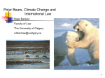 Polar Bears, Climate Change and International Law