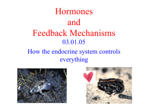 The Endocrine System - KCPE-KCSE