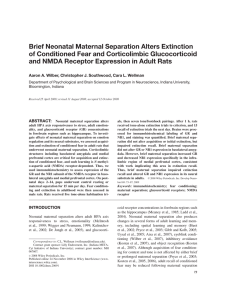 Brief neonatal maternal separation alters extinction of conditioned