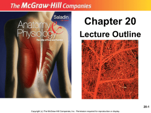 capillaries - Human Anatomy and Physiology
