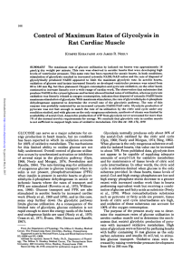 Control of Maximum Rates of Glycolysis in Rat Cardiac Muscle