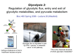 Lecture 26 - Glycolysis 2