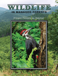 Wildlife in Managed Forests — Oregon Forests as