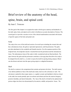 Brief review of the anatomy of the head, spine, brain, and spinal cord.