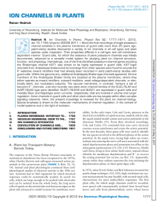 ion channels in plants - Physiological Reviews