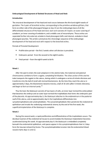 Embryological Development of Skeletal Structures of Head and