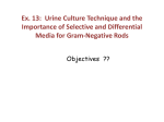Ex. 14: Selective Media for Isolating Gram
