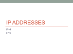 IP addresses