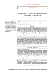 Hepatitis B Virus Infection — Natural History and