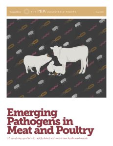 Emerging Pathogens in Meat and Poultry