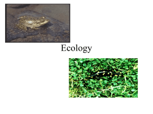 Ecology