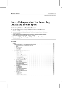 Nerve Entrapments Of The Lower Leg, Ankle