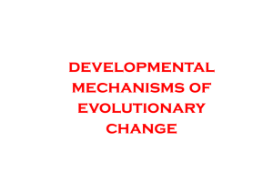 lecture 20 devbio JS Evolutions and development