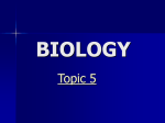 biology - OoCities