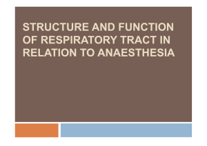 structure and function of respiratory tract in relation to