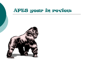 APES Year end review PPT