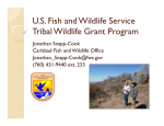 U.S. Fish and Wildlife Service Tribal Wildlife Grant Program