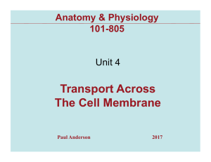 Transport Across The Cell Membrane