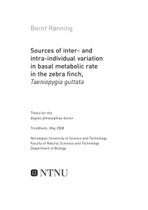 Sources of inter- and intra-individual variation in basal metabolic