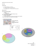 SEMESTER II EXAM STUDY GUIDE Overview: Content Areas 4