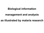 Problems of biological information management and analysis as