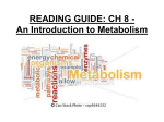 Ch 6 Study Questions: An Introduction to Metabolism