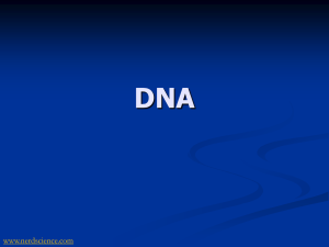 DNA PowerPoint - Duplin County Schools