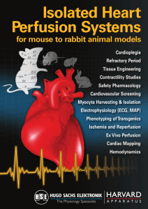 Isolated Heart Perfusion Systems