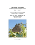 Conservation Assessment of Satyrium polingi organensis - bison-m