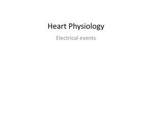 Heart Physiology