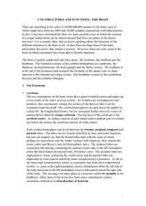CNS STRUCTURES AND FUNCTIONS