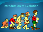 2008 Introduction to Evolution